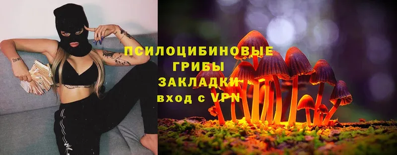 Псилоцибиновые грибы MAGIC MUSHROOMS  маркетплейс наркотические препараты  Лабинск 